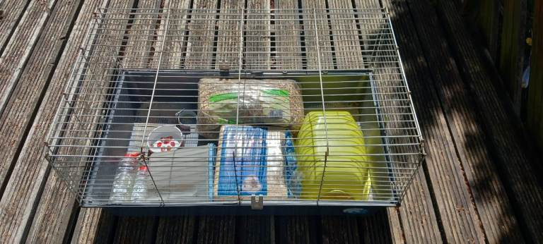Guinea Pig Cage & Accessories