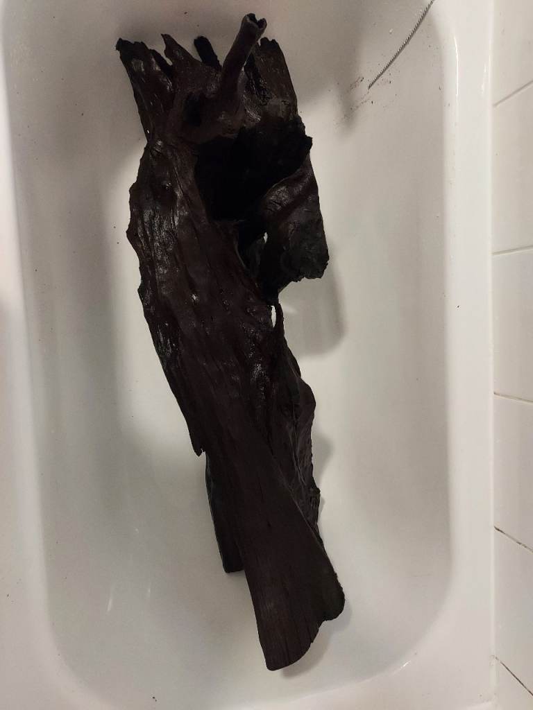 Very Large & Very Heavy Drift Wood For Sale! 