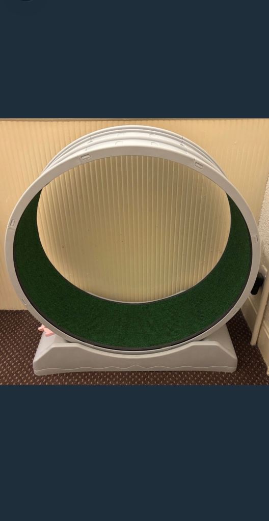 Brand new cat wheel 