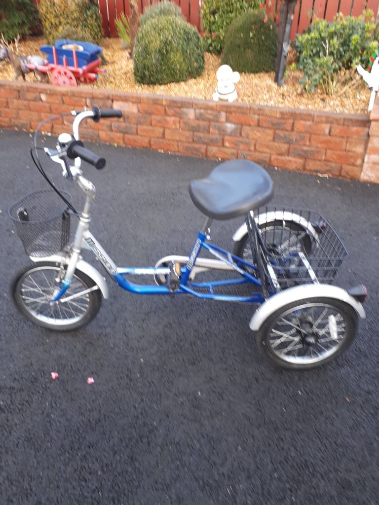 Three wheel trike for sale