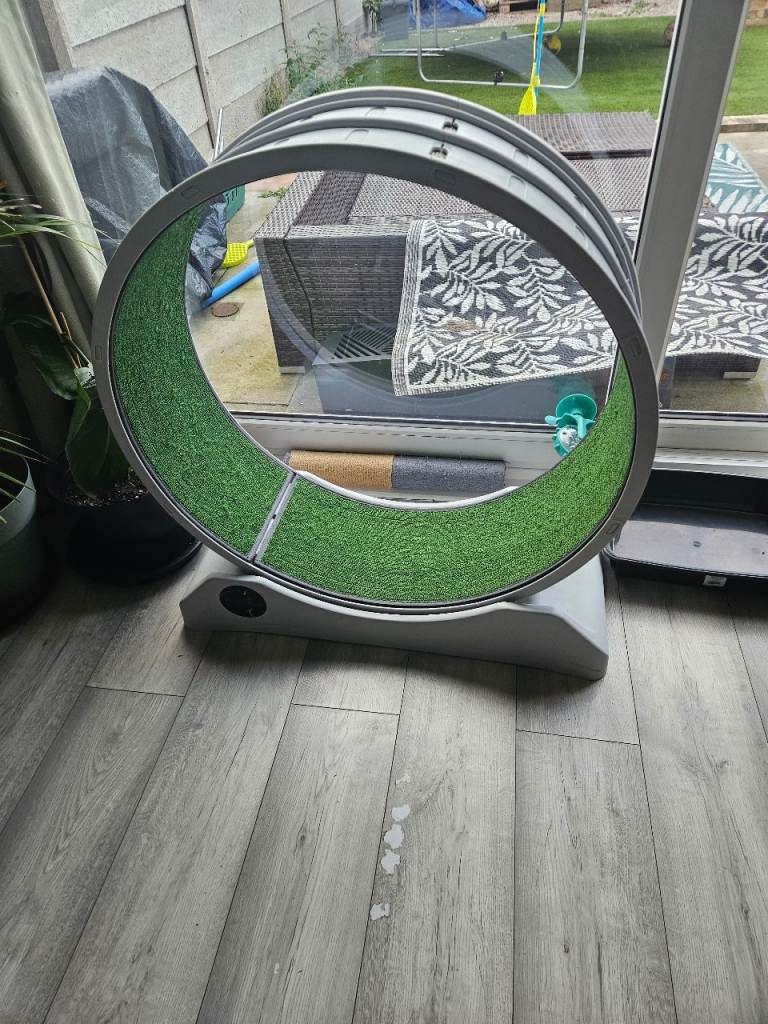 Cat wheel