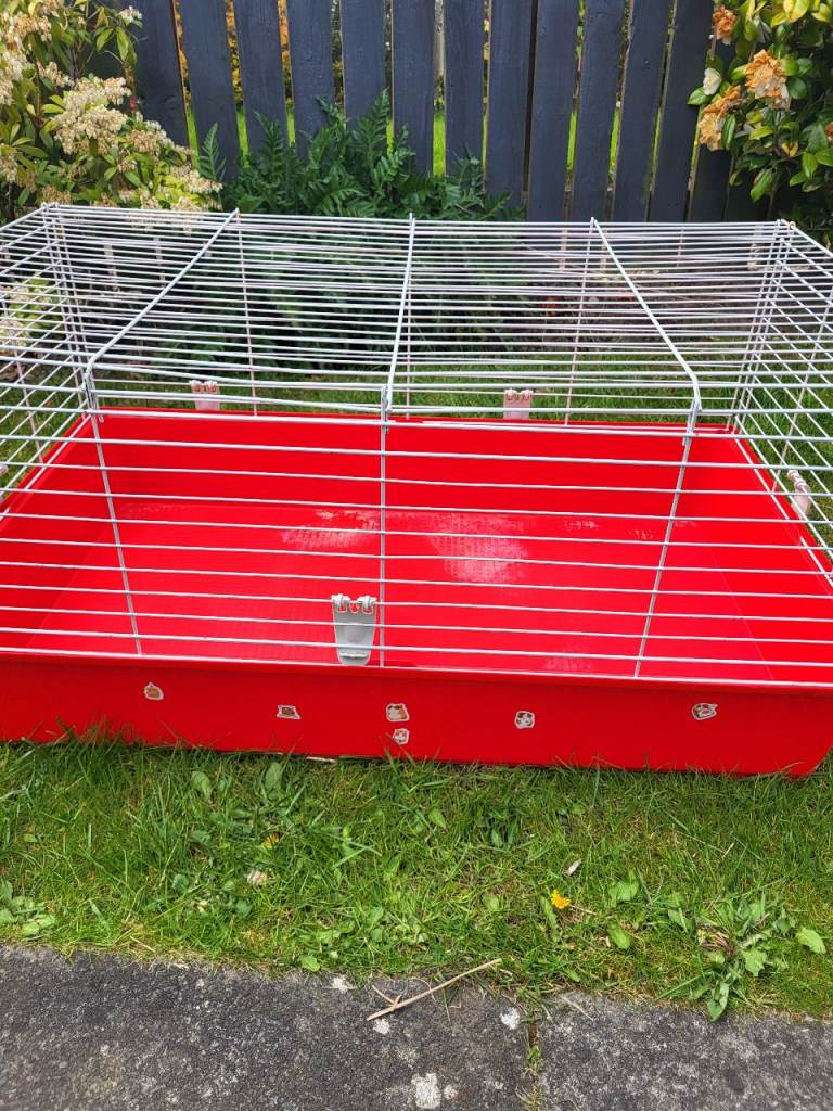 Guinea pig cage