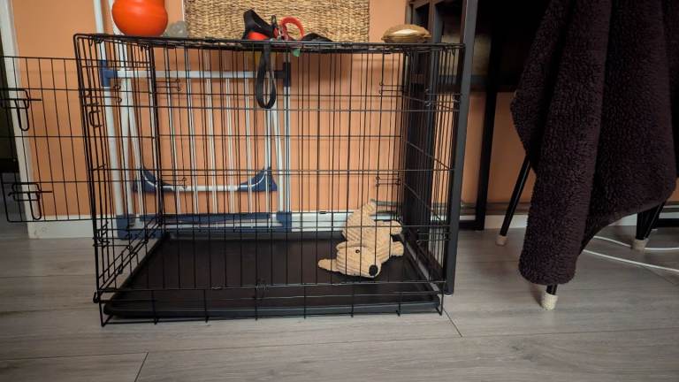Single Door 30 inch Dog Cage (Argos)