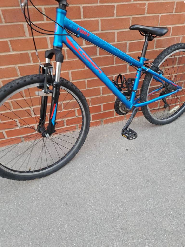 image for Junior's tiger fury mountain bike good condition 