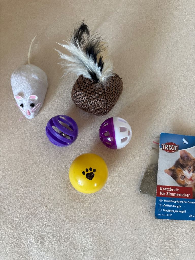 Cat toys 