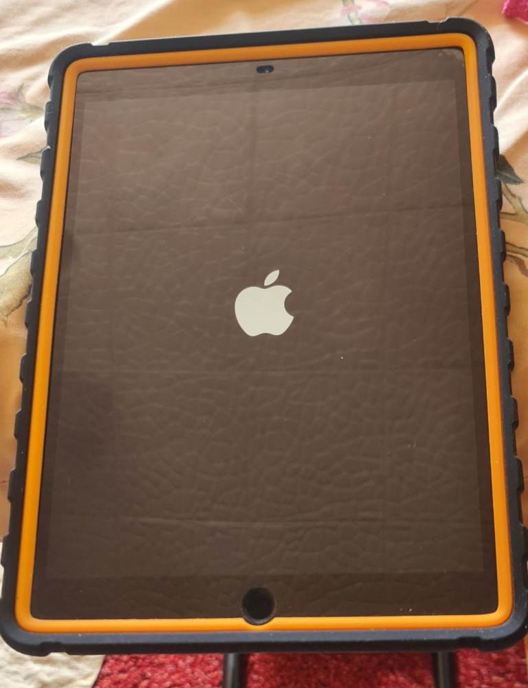 Apple iPad Pro 9.7 inch 128GB – Good Condition