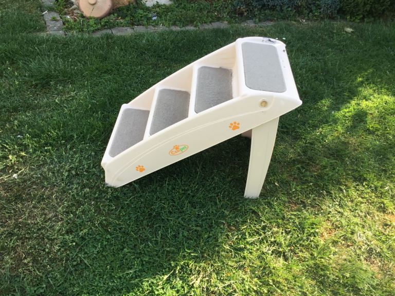 Dog steps