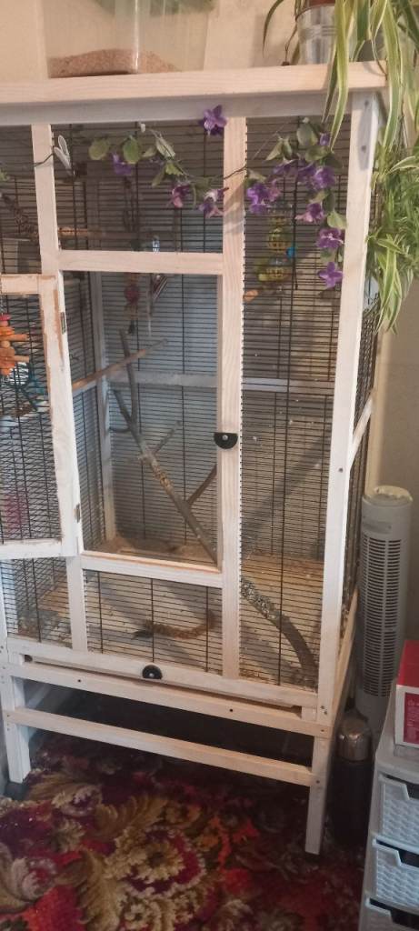 Tall bird or rodent cage