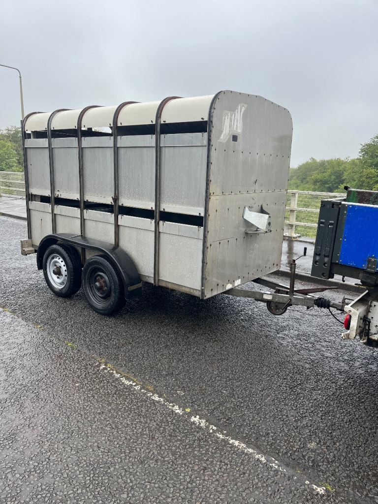 Ifor williams stock box 