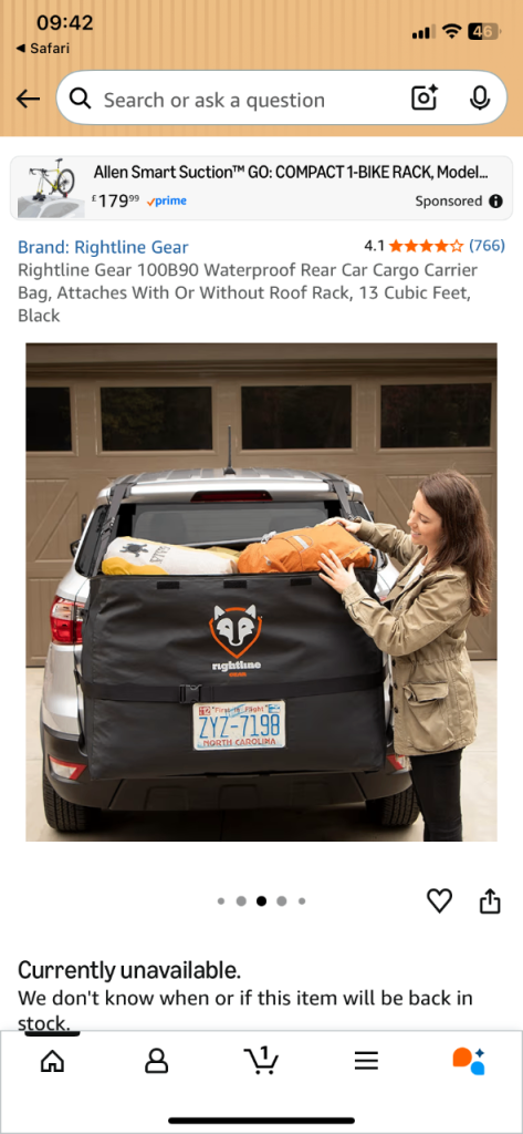 Cargo storage bag for rear of car
