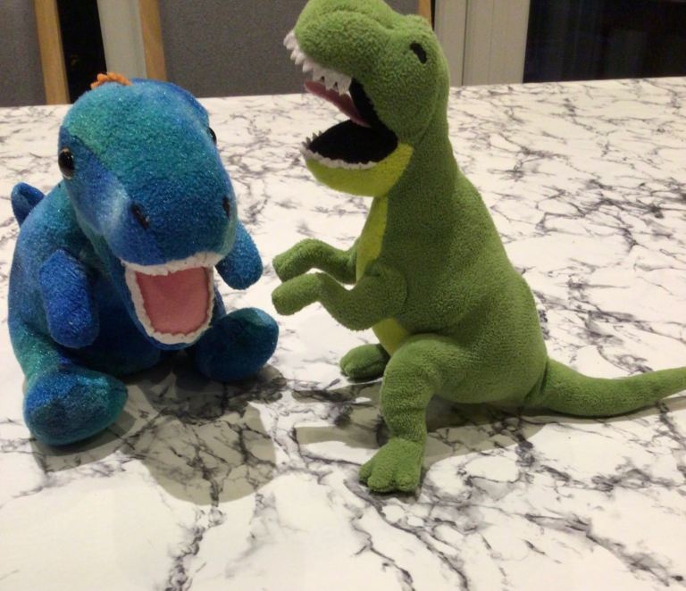 Dinosaur soft toys