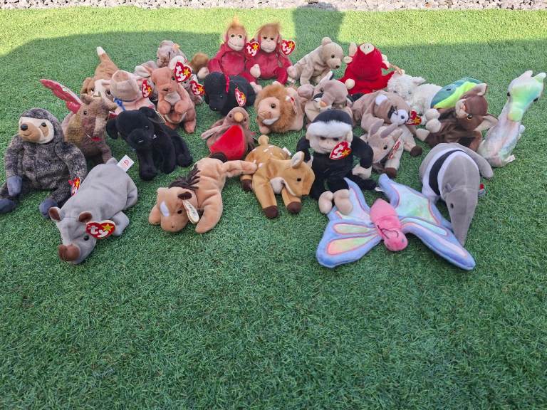 Beanie babys 