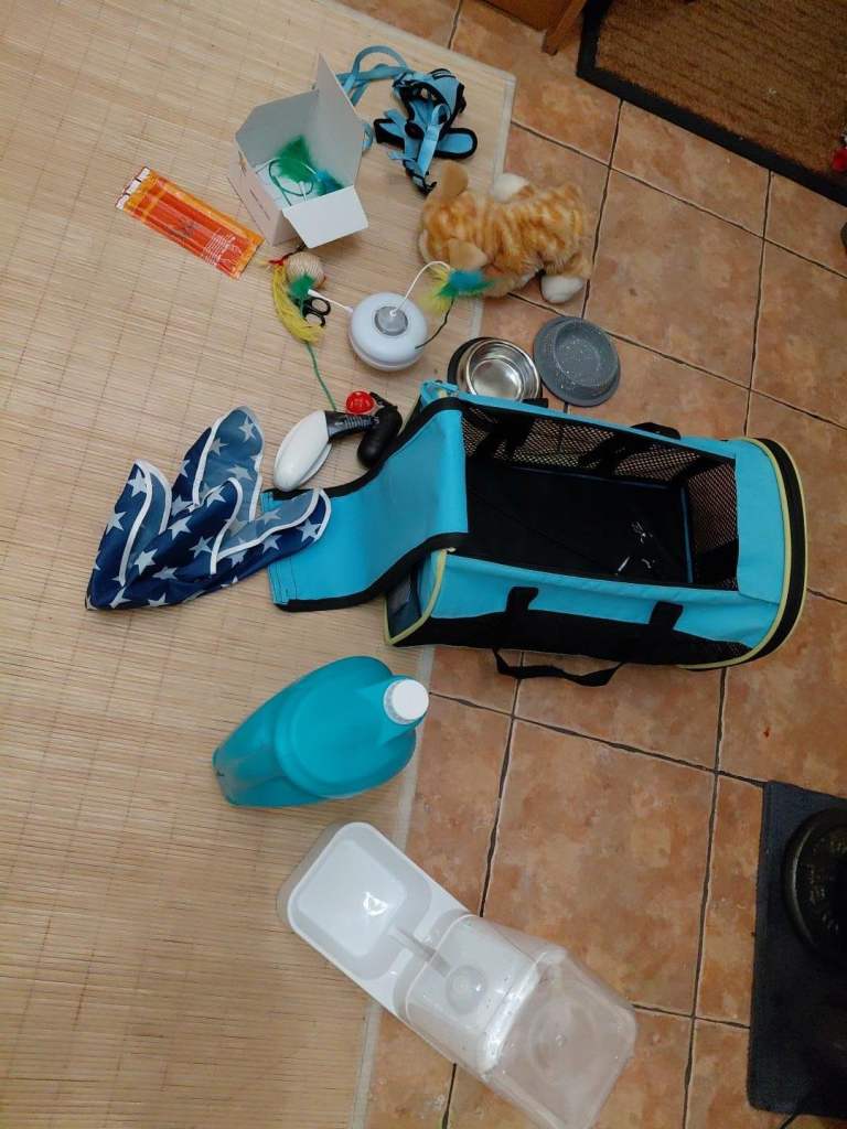 Selection of cat accessories