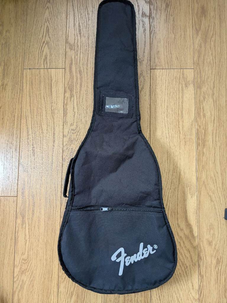 Fender guitar case (soft)