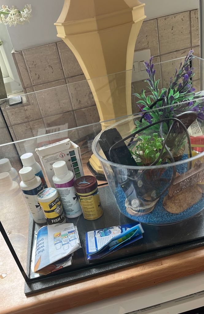 Fish tank and air pump