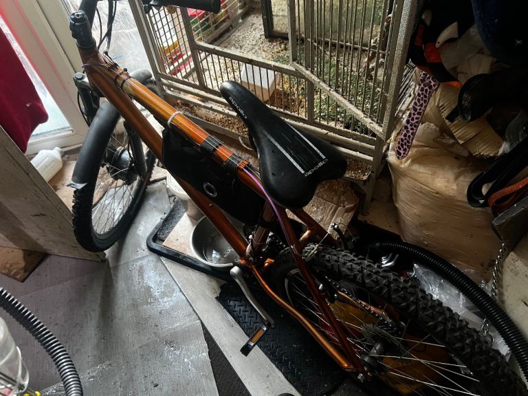 Electric bike 250w