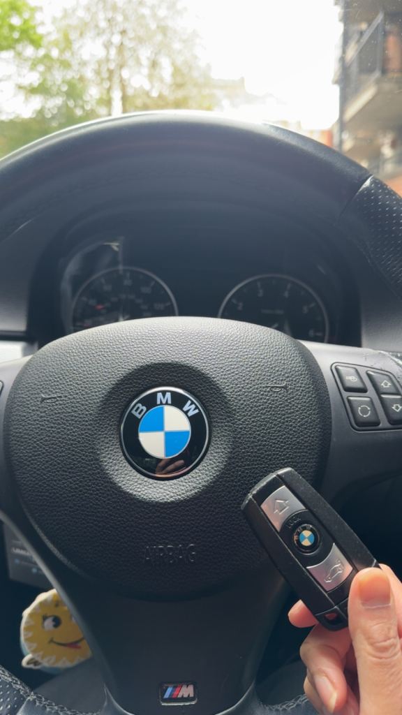 BMW, 3 SERIES, Saloon, 2010, Manual, 1995 (cc), 4 doors