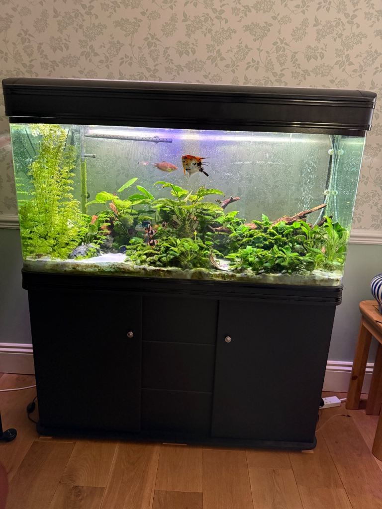 300 litre Tank with all accessories 