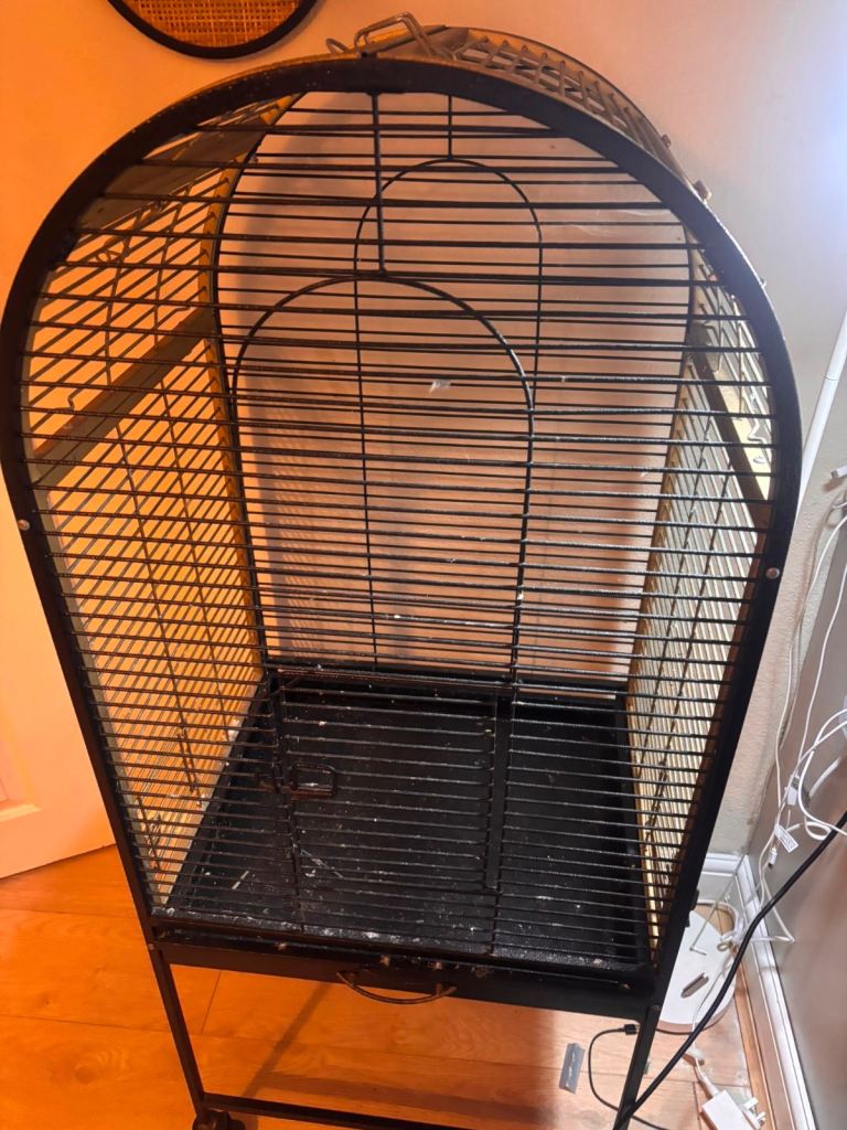 Bird cage 