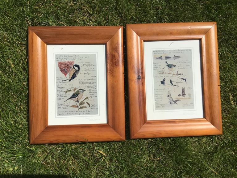Two Framed Bird Prints with Wooden Frames – Good Condition