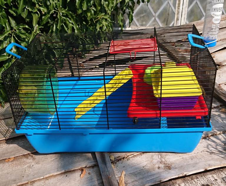 Large hamster cage plus accessories 