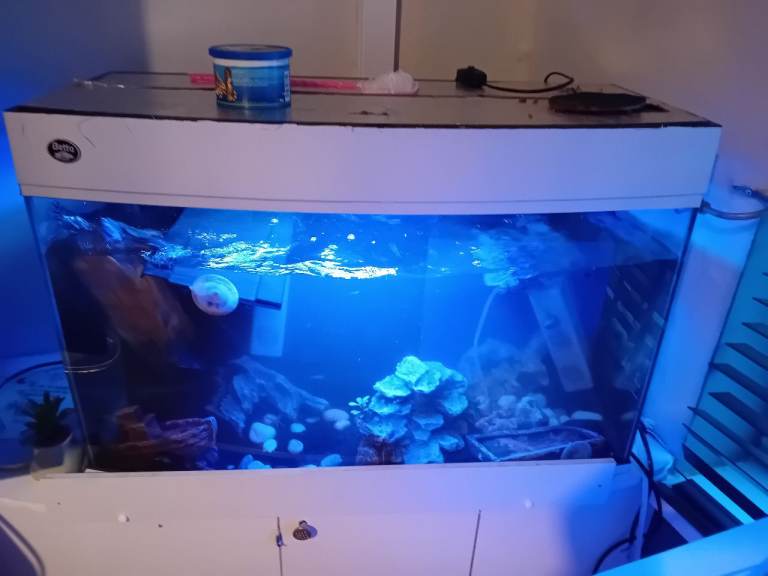 Fish tank full set up 