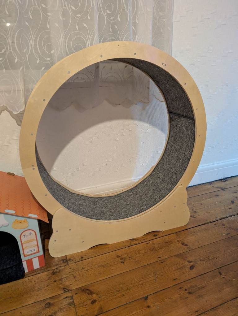 Cat wheel