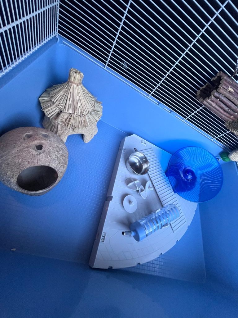 Hamster Cage & accessories 