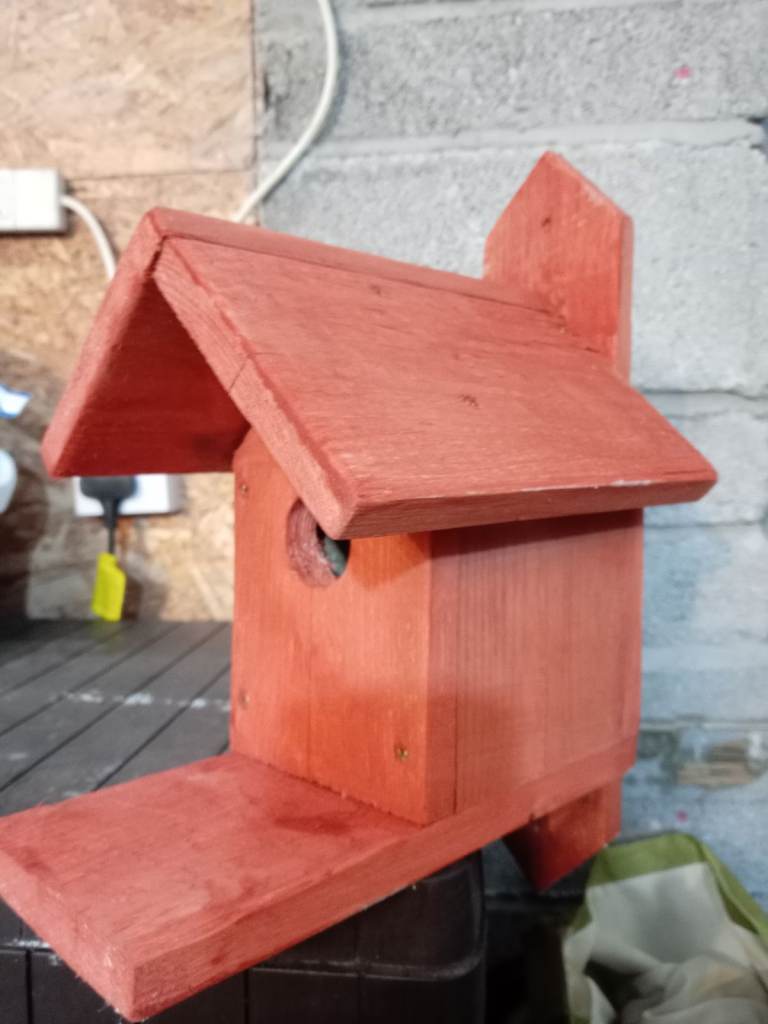 Bird nest boxes 