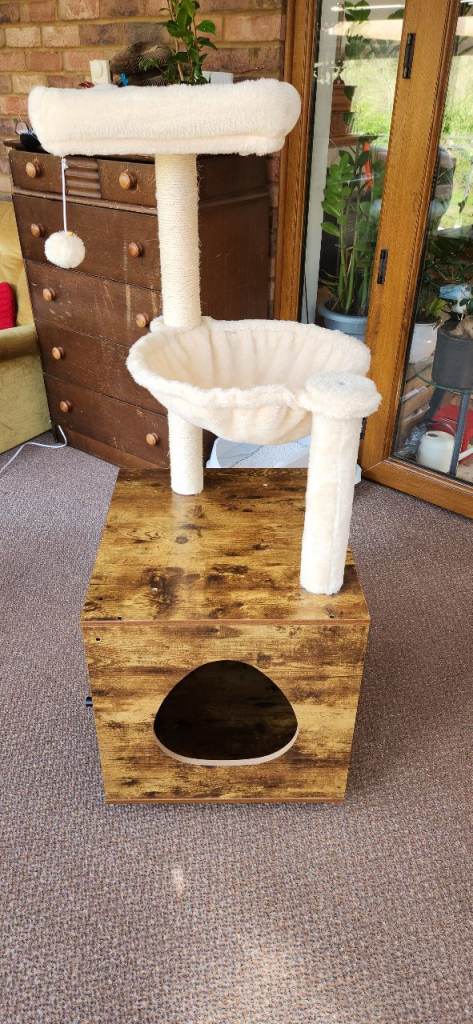 cat tree