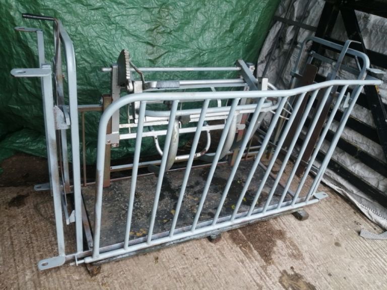 SHEEP TURNOVER CRATE 