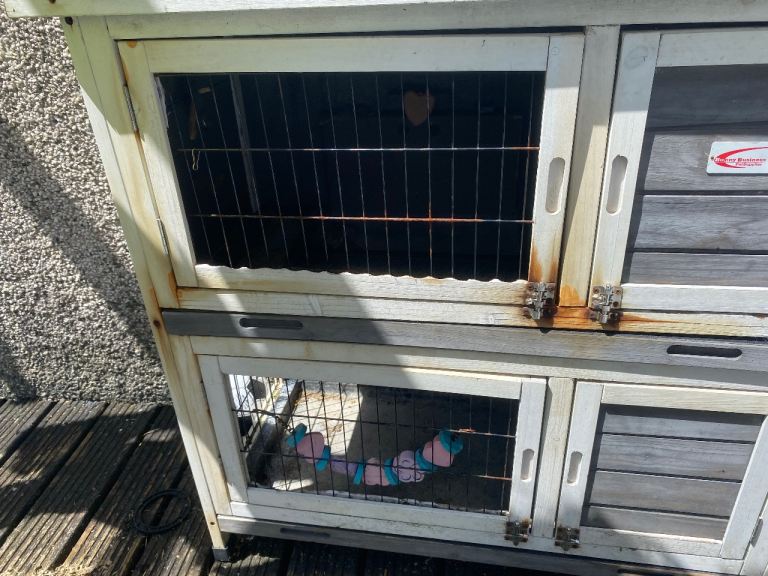Animal hutch 