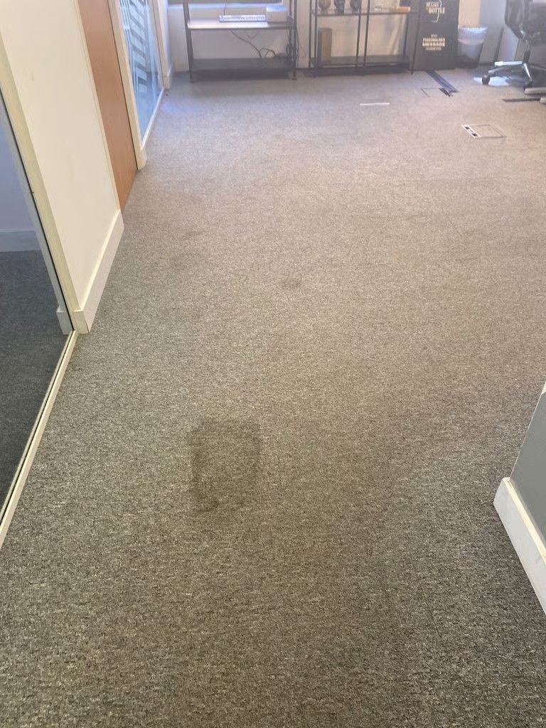 Carpet Cleaning - Domestic And Commercial Floor Cleaner Service