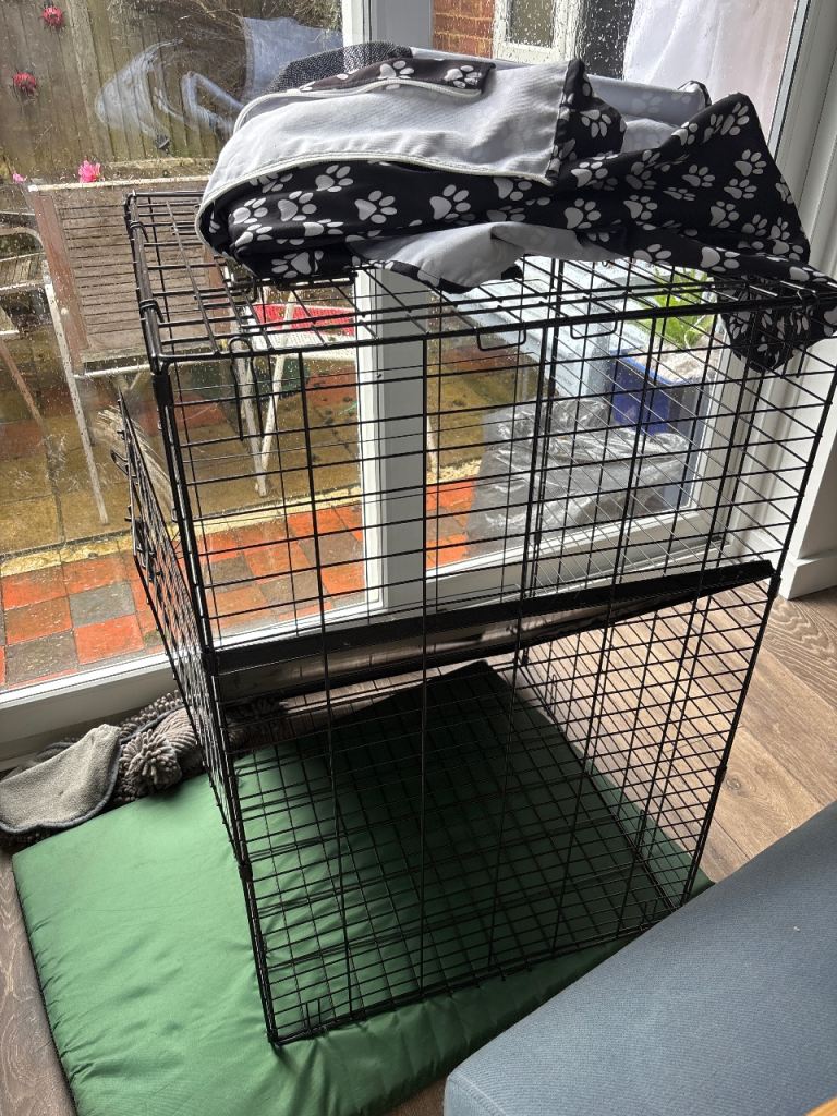 Dog crate from pets at home 
