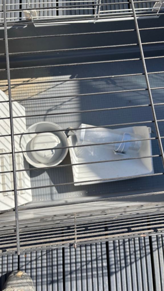 Rabbit cage and other free items 