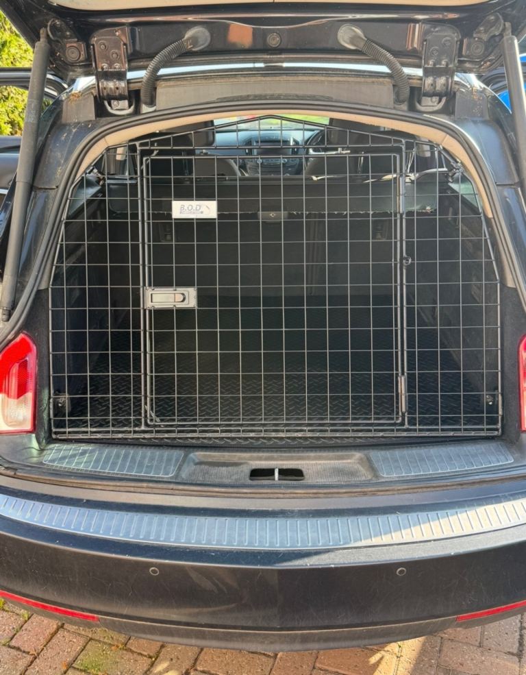Dog Tailgate 