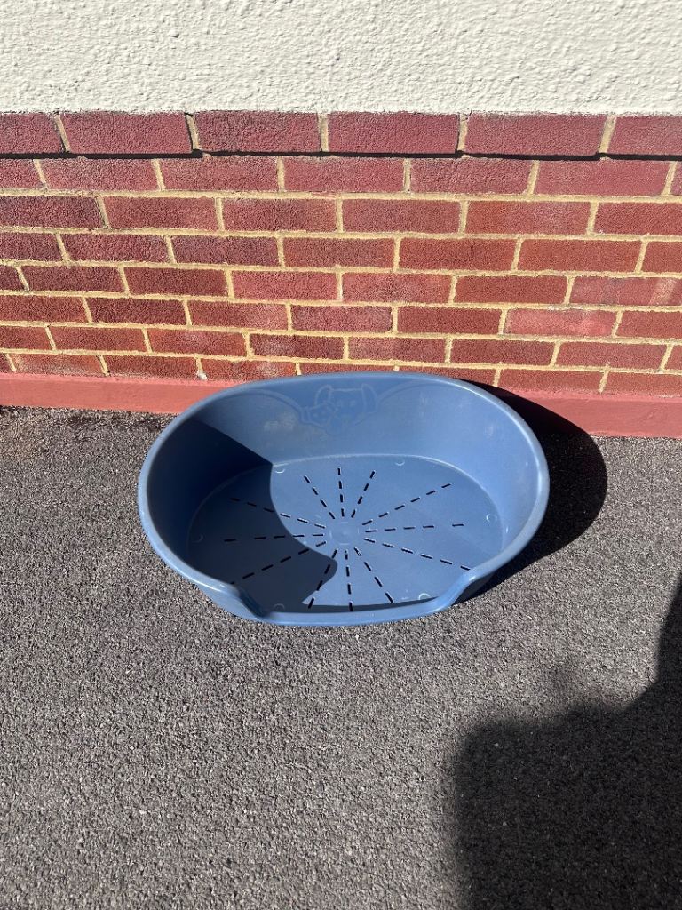 Used Blue Plastic Pet Bed – Good Condition