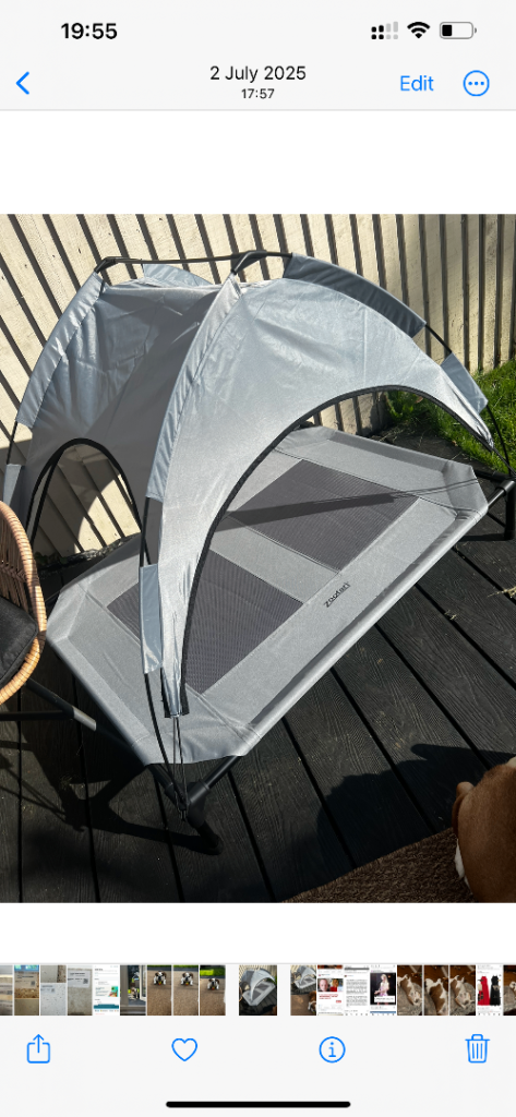 Zoofari Large Pet Bed with Shade