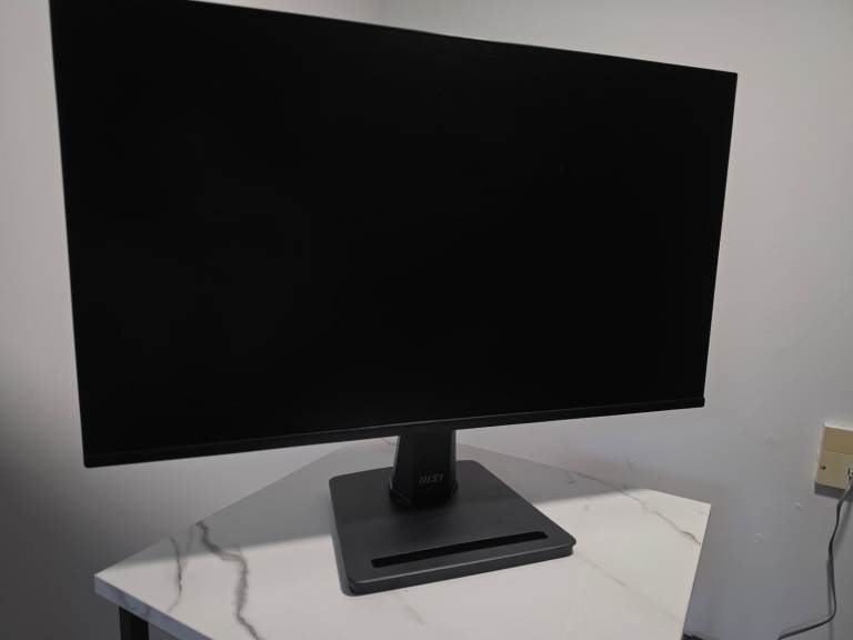MSI MP25 Display