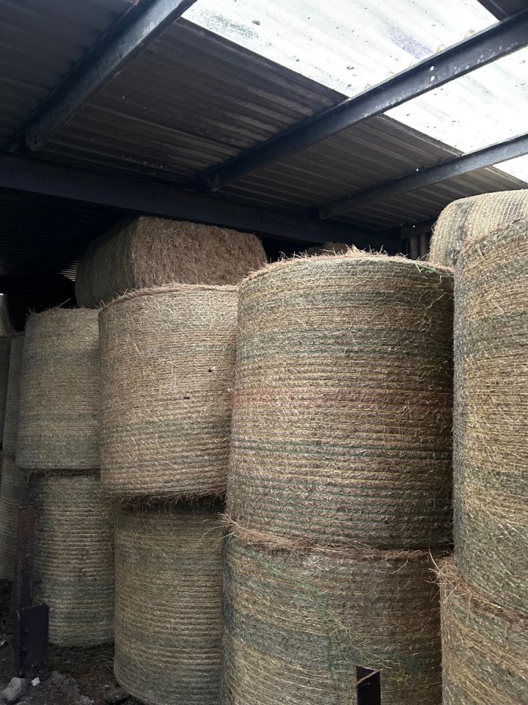 Hay bales 