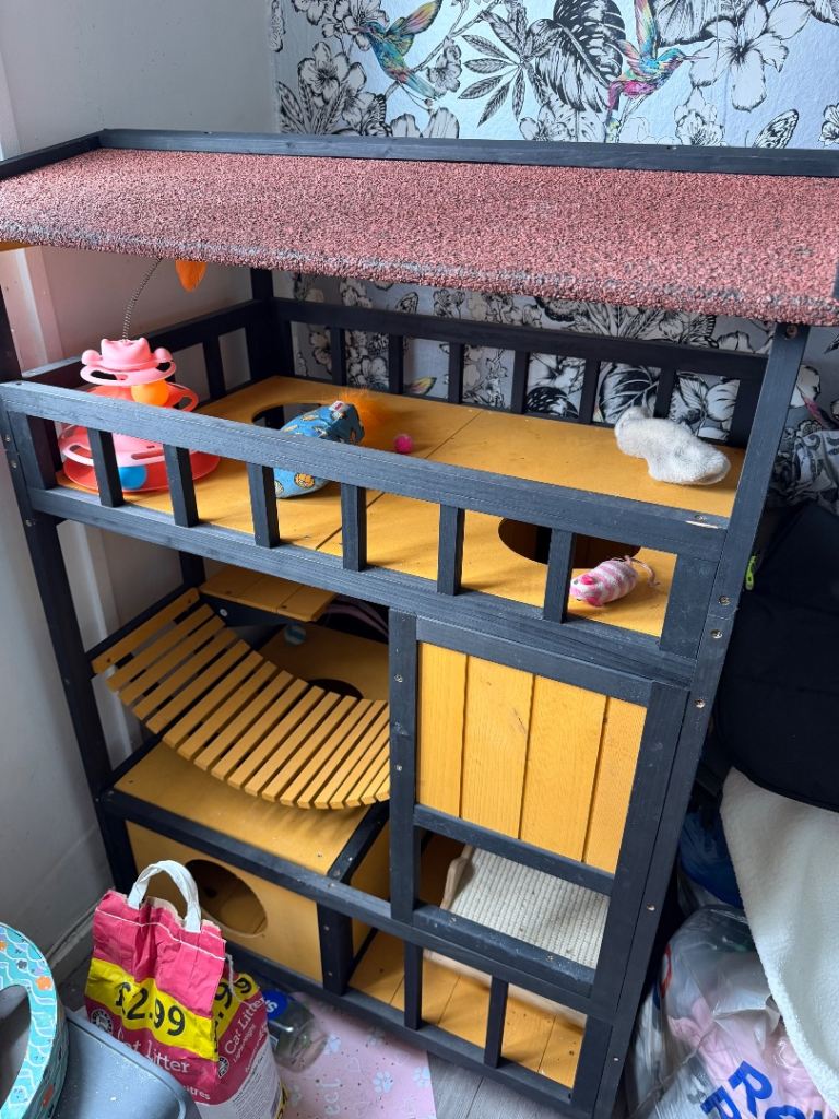Cat house