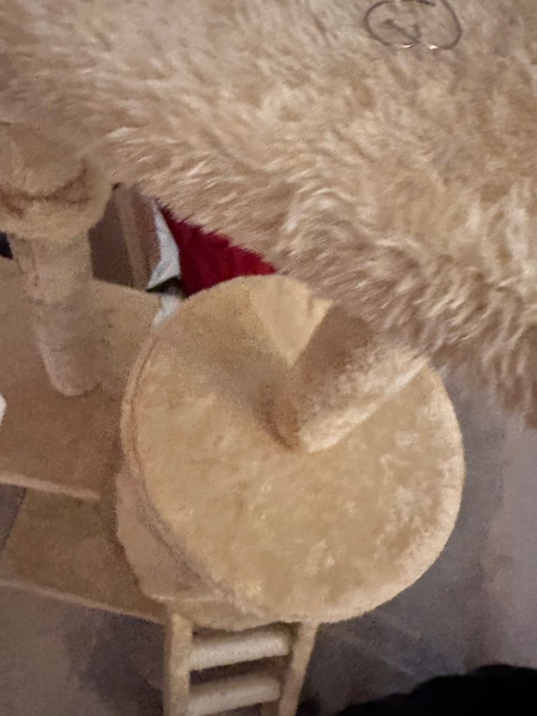 Lovely soft cream new cat tree for sale 