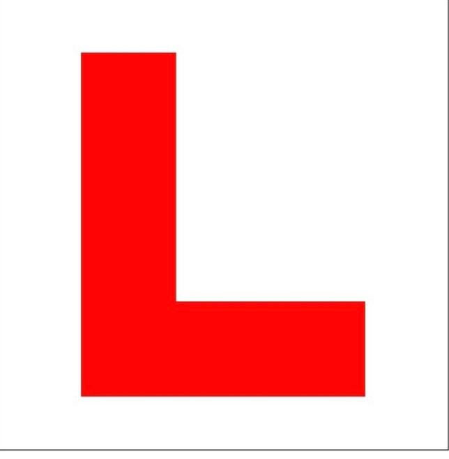 Female driving instructor 