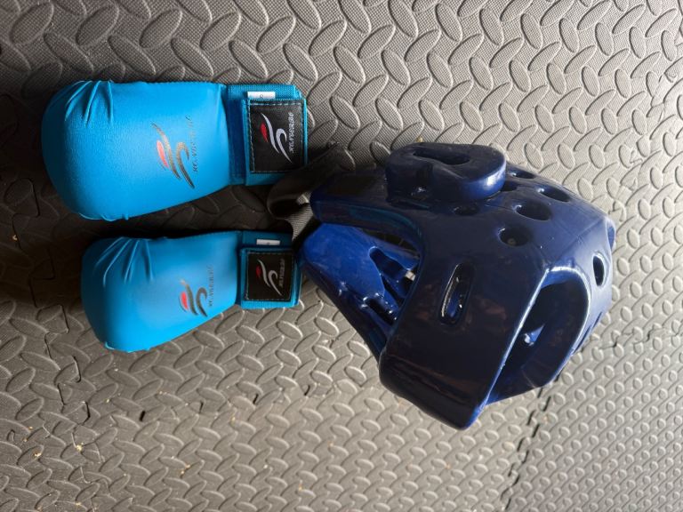 Sparring gear Tae Kwon do martial arts ju jitsu 