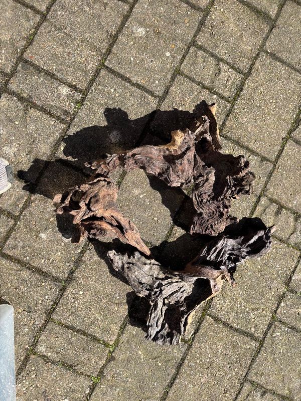 Aquarium accessories 