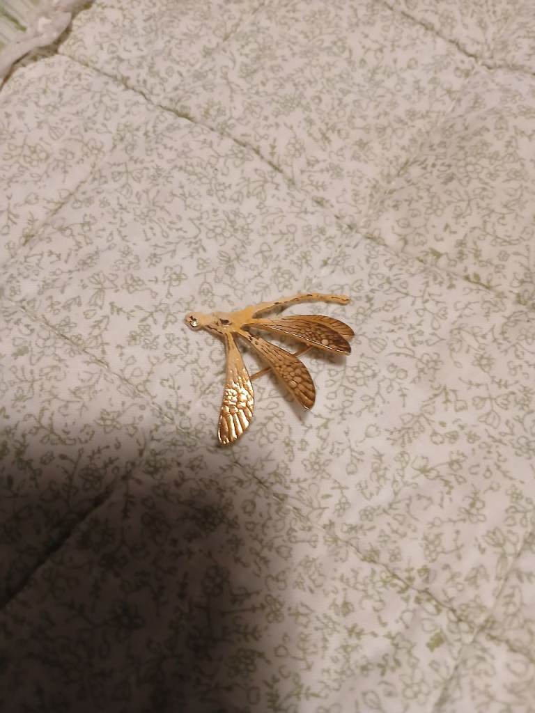 Dragonfly brooch 