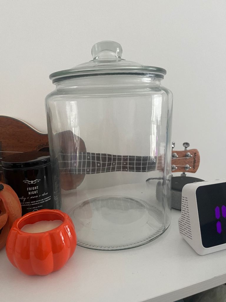 Large Glass Cookie Jar 6.2L