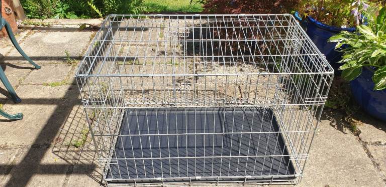 Large Dog Crate