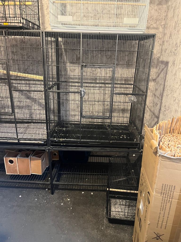 Big double bird avairy cage 