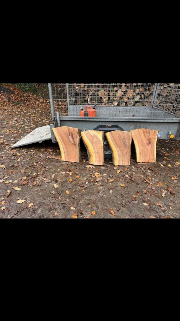 image for Large Stock of Plum boards and pieces perfect for arts and crafts/ woodworkers of all kinds